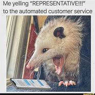 Image result for Animal Customer Service Meme