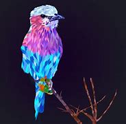 Image result for Quirky Birds
