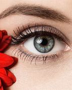 Image result for World Most Beautiful Eyes