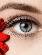 Image result for Top 10 Most Beautiful Eyes