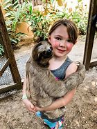 Image result for Girl Holding Baby Sloth