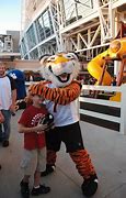 Image result for Cincinnati Bengals Memes