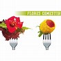 Image result for Flores Y Hojas Comestibles