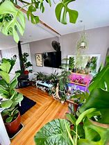 Image result for Nice Living Room Setup