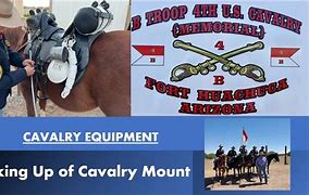 Image result for Cavalry Horse