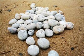 Image result for Robot Pebbles