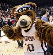 Image result for NCAA Mascots