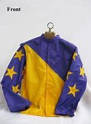 Image result for Horse Racing Silks