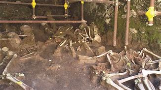 Image result for Herculaneum Bodies