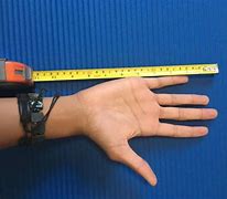 Image result for How Big Is 8 Inches