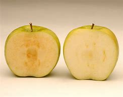 Image result for An Apple vs Many Apples