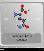 Image result for Glutamine Icon