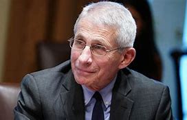 Image result for Dr. Fauci Laughing