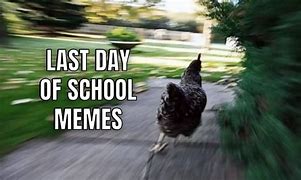 Image result for Last Day of Online School Meme