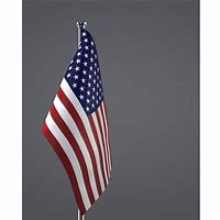 Image result for American Flag Portrait