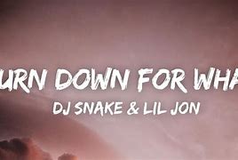 Image result for DJ Snake Lil Jon Turn Down for What