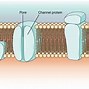 Image result for Sodium Ion Cell