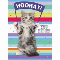 Image result for Hooray Cat Meme