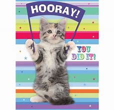 Image result for Hooray Animals