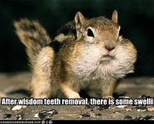 Image result for Wisdom Tooth Meme