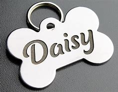 Image result for Stainless Steel Pet Tags