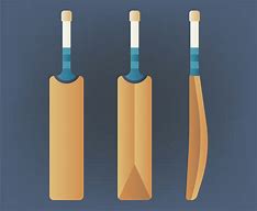 Image result for Cricket Bat Art