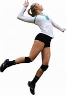 Image result for Volleyball Stock Image No Background