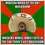 Image result for Happy Birthday Mexico Meme