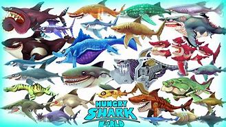 Image result for All Sharks in Hugry Shark World