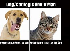 Image result for Cat Dog Memes Sarcastic