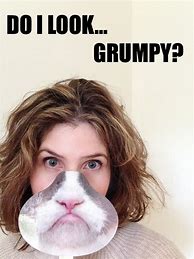 Image result for Happy Birthday Funny Grumpy Cat