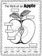 Image result for Apple Names Fruit