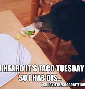 Image result for It's Taco Tuesday Meme