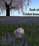 Image result for Cricket Sounds for Tinnitis CD