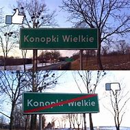 Image result for konopki_wielkie