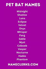 Image result for Cute Bat Names