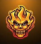 Image result for Fire Skull Logo