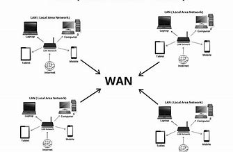 Image result for Wan Types
