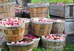 Image result for apples bushels recipe