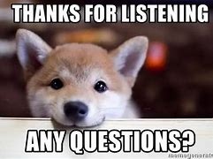 Image result for I Have a Question Animal Meme