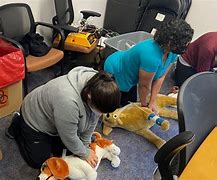 Image result for Recover CPR Resources