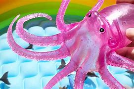 Image result for Thomas Sea Animal Toys