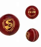 Image result for SG Cricket