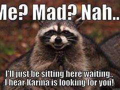 Image result for Scary Raccoon Meme