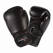 Image result for Kickboxing Gloves