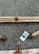 Image result for Antique Harness Parts