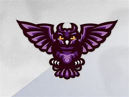 Image result for Owl Mascot Logo