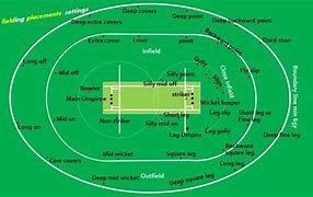 Image result for Labeled Cricket Pitch