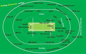 Image result for Cricket Pitch Markings