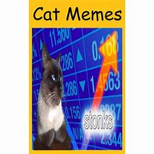 Image result for Office Cat Meme Funny
